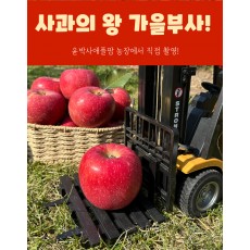 가을사과 [부사]  5kg 14과 [대과]